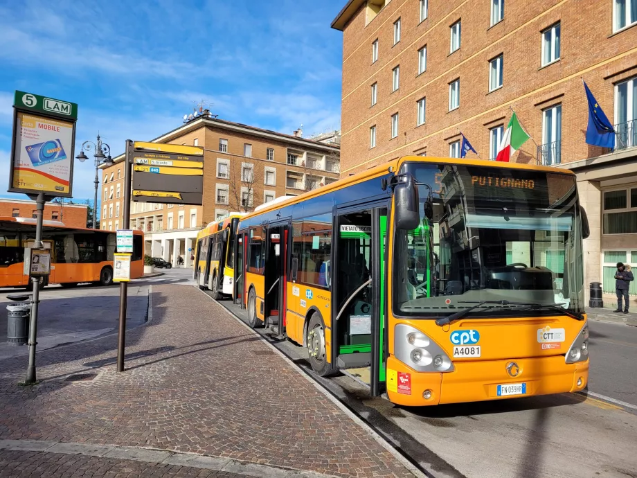 Bus Pisa