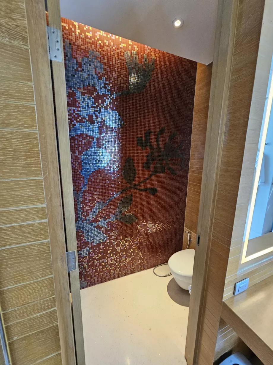 Toilettes séparées de la salle de bains par une porte