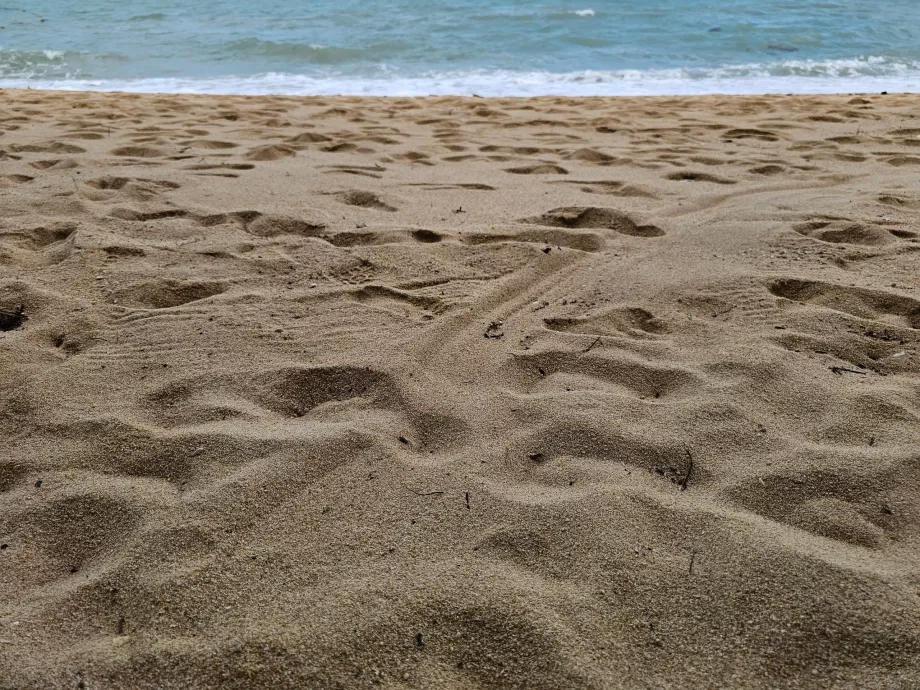 Sable plus grossier sur la plage de l'hôtel