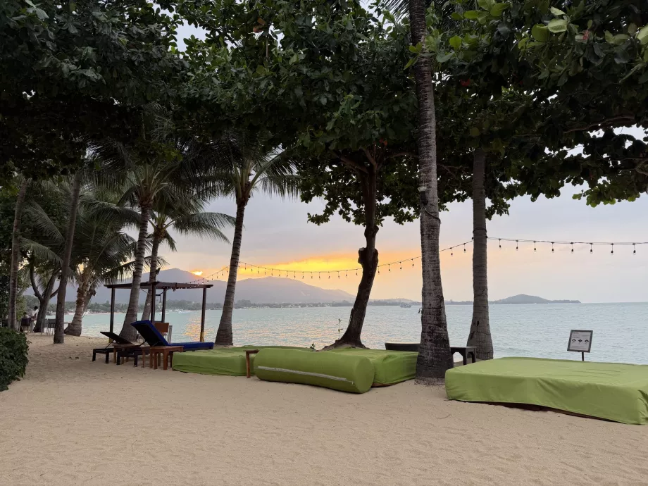 Plage de l'hôtel avec chaises longues au coucher du soleil