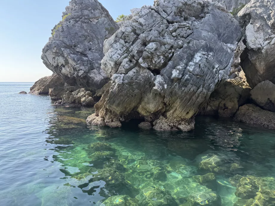 Site de plongée avec masque et tuba