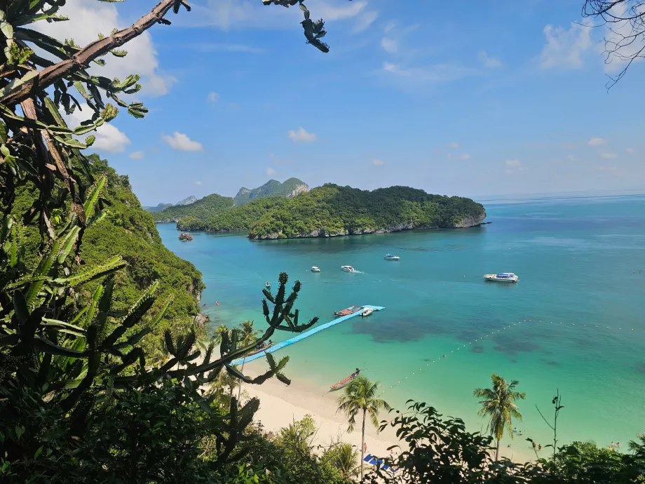 Sentier menant au point de vue le plus élevé