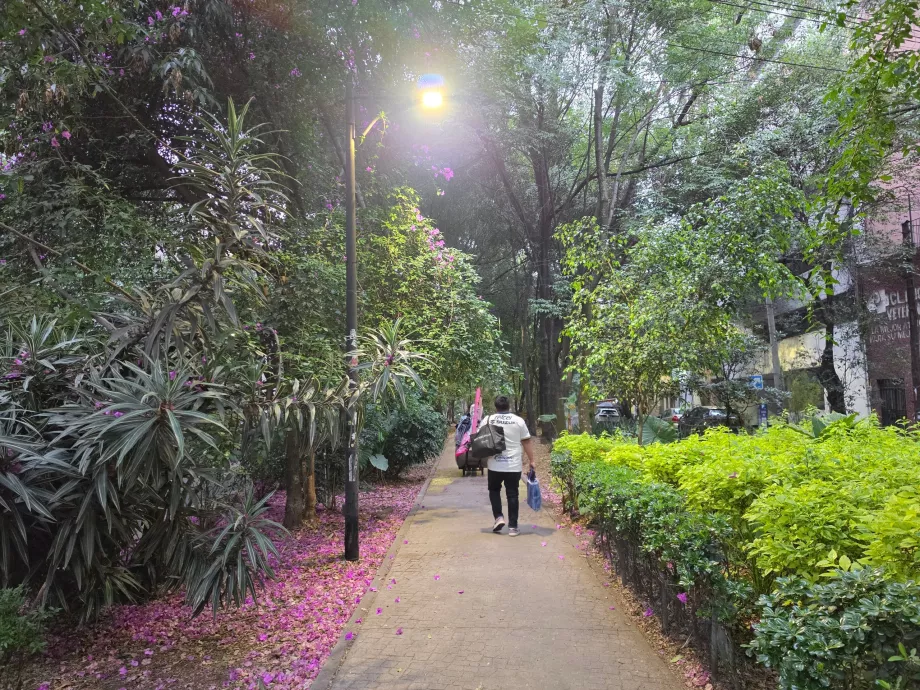 Quartier de Condesa