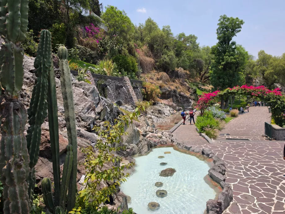 Parc autour de Cerro Tepeyac