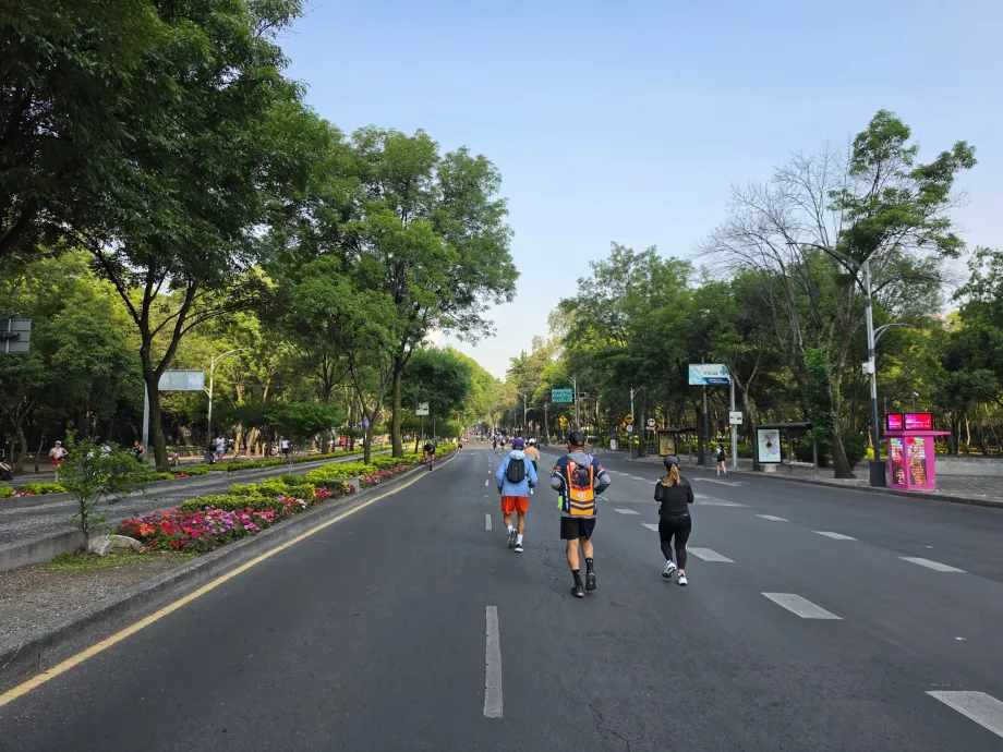 Une course à pied un dimanche matin à Mexico