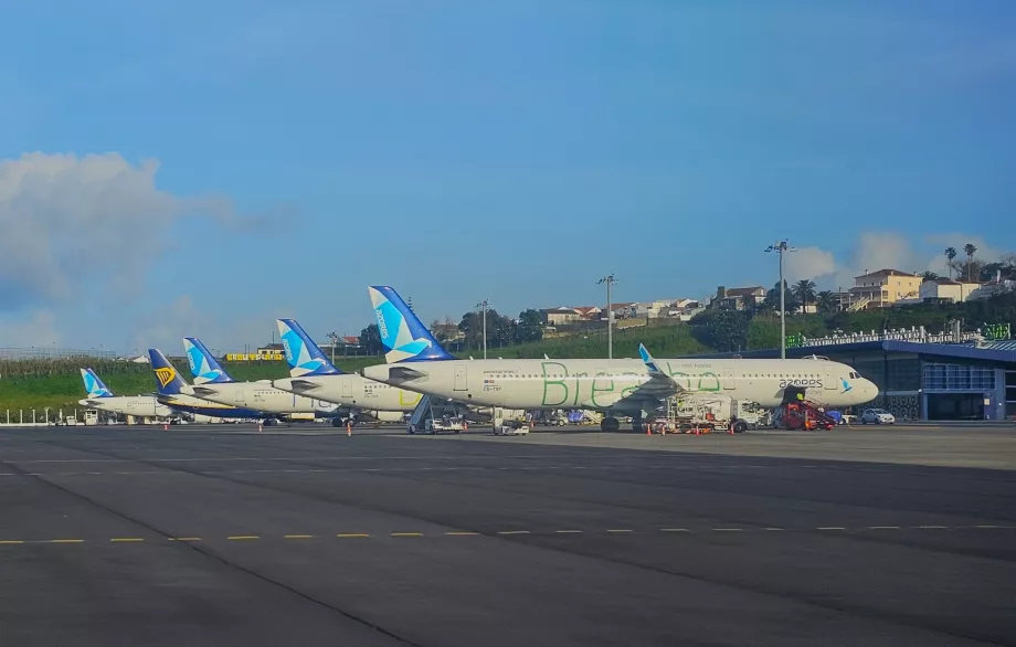 Avion de la compagnie Azores Airlines à l'aéroport de Ponta Delgada