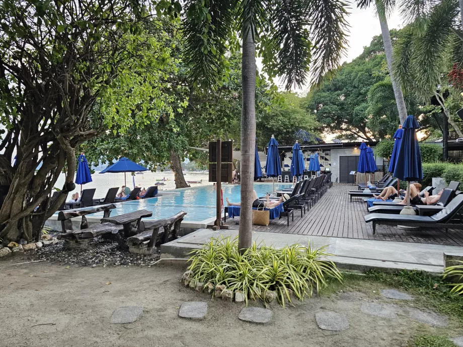 Piscine avec chaises longues