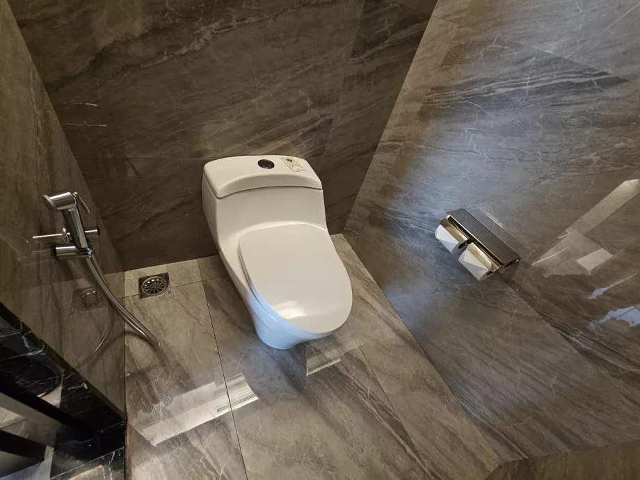 Toilette avec douche bidet