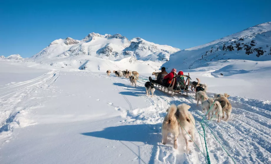 Traîneau à chiens au Groenland