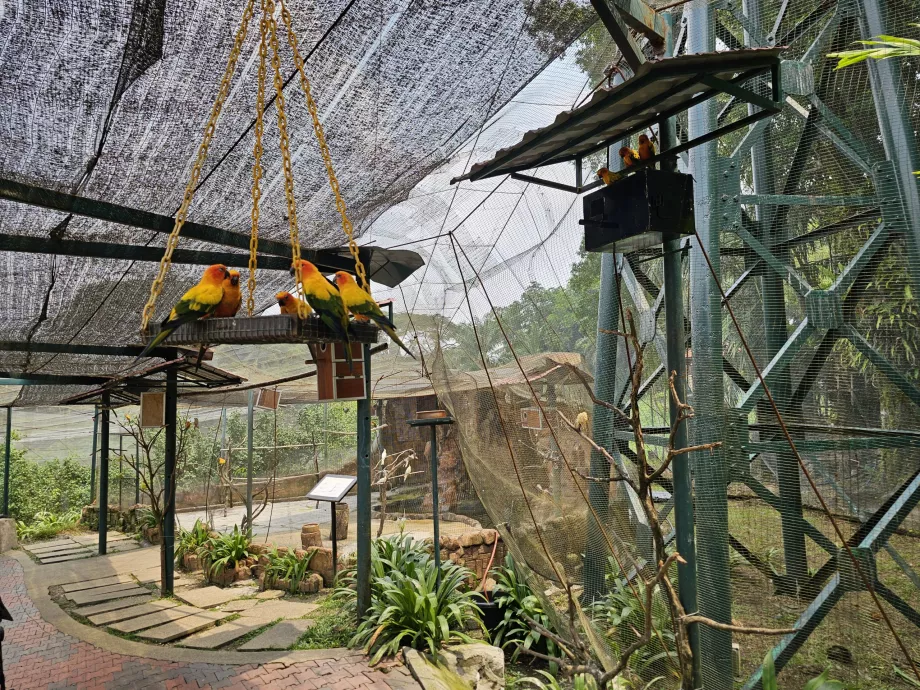 Parc à oiseaux