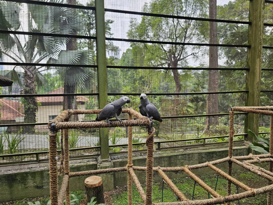 Parc à oiseaux