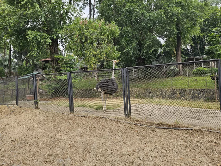 Parc à oiseaux