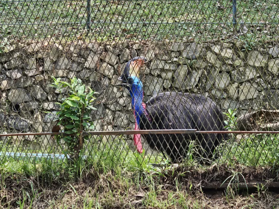 Parc à oiseaux