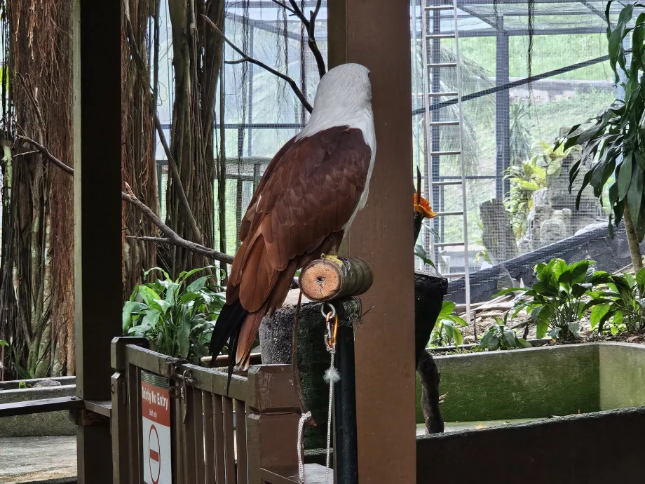 Parc à oiseaux