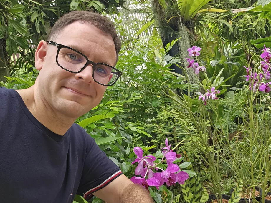 Jardin d'orchidées