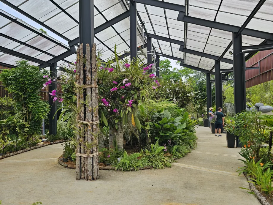 Jardin d'orchidées