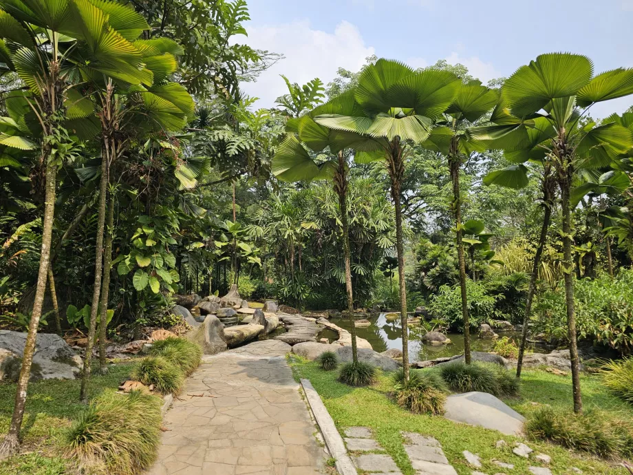 Jardin botanique