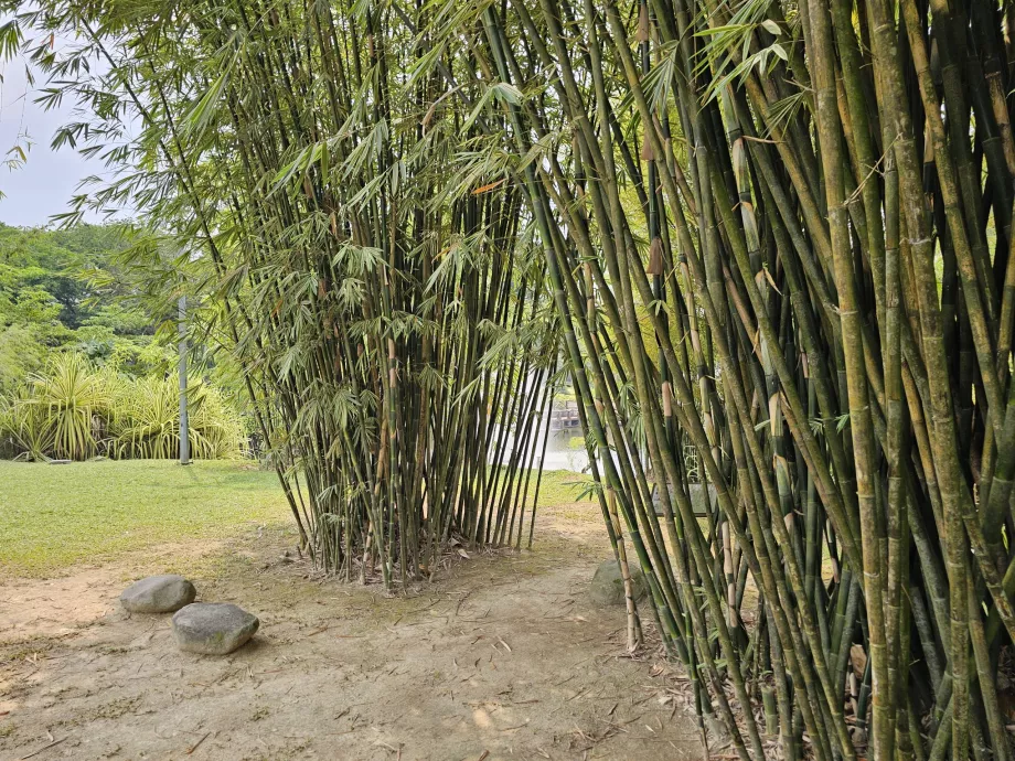 Jardin botanique