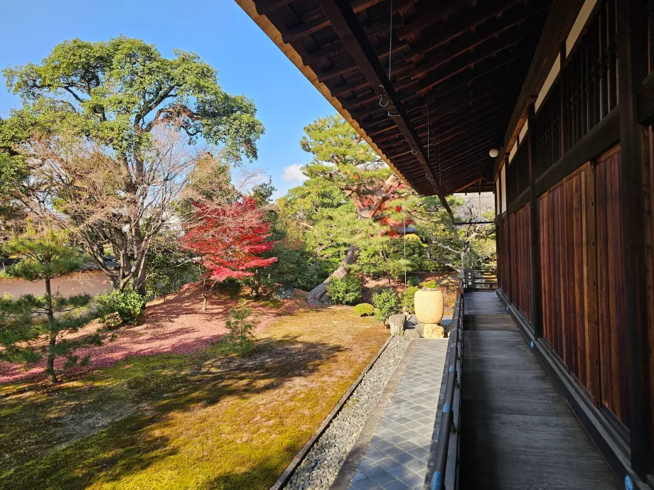 Temple Shokoku-ji