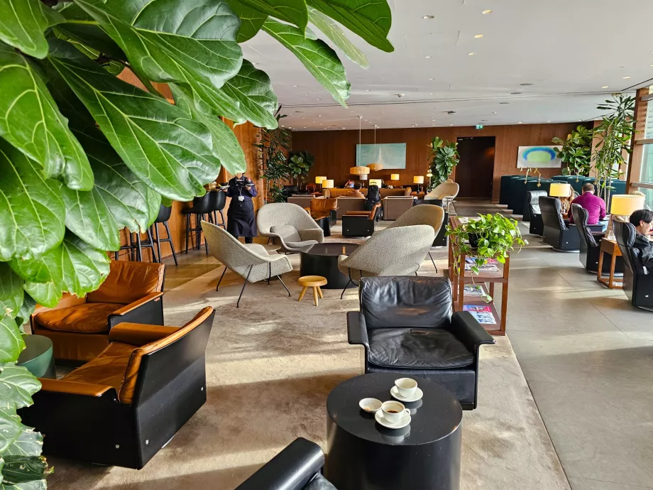 L'environnement général du salon