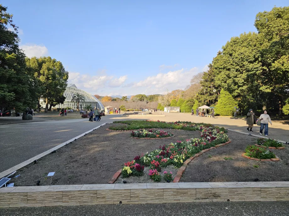 Jardins botaniques de Kyoto