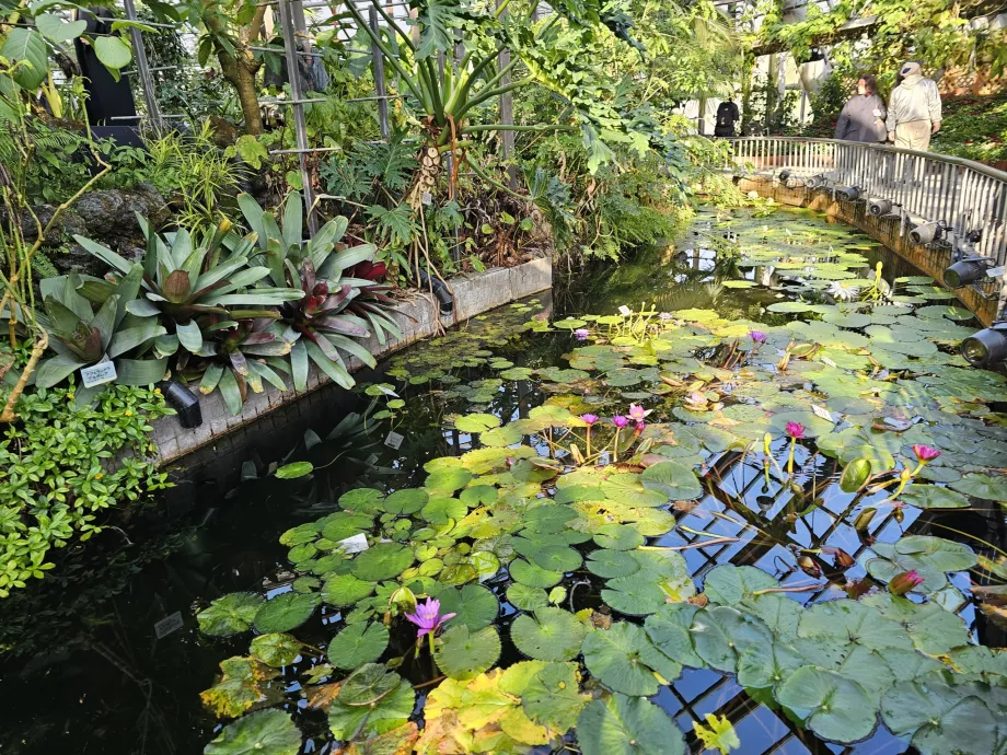 Jardins botaniques de Kyoto