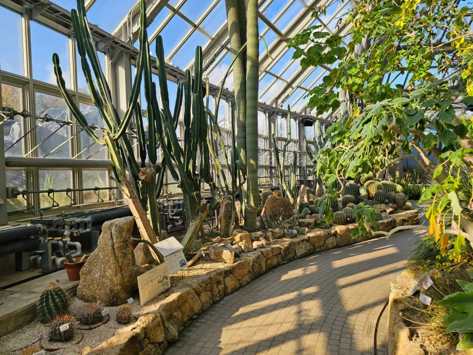 Jardins botaniques de Kyoto