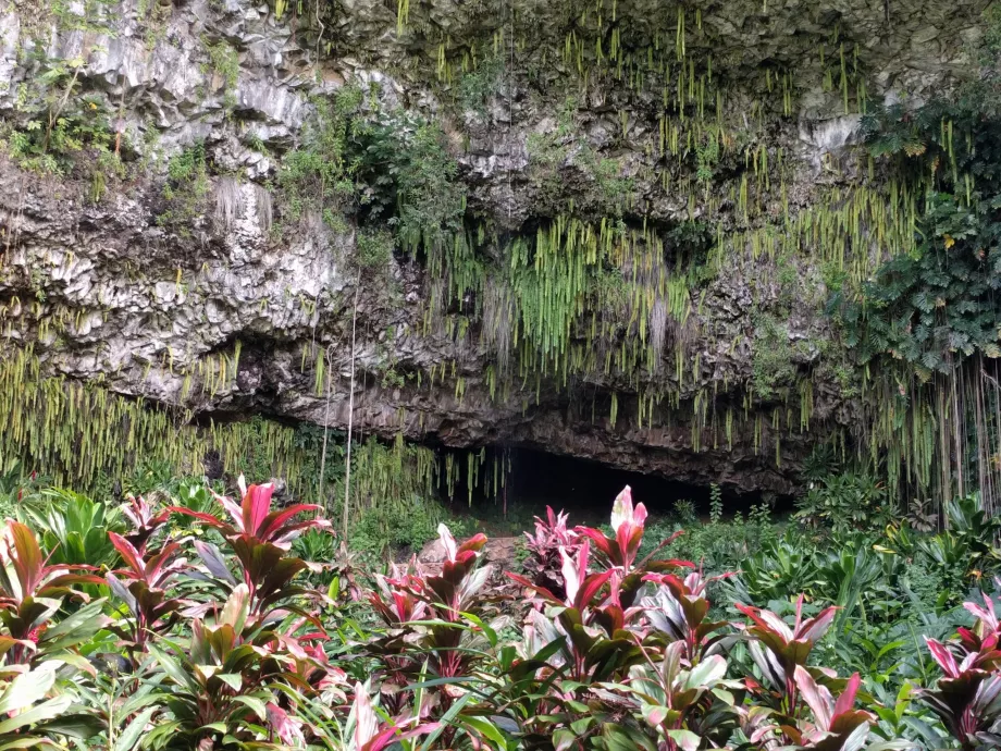 Grotte de Fougères