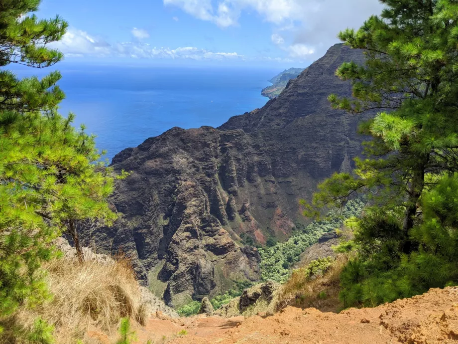 Vue de Kauai