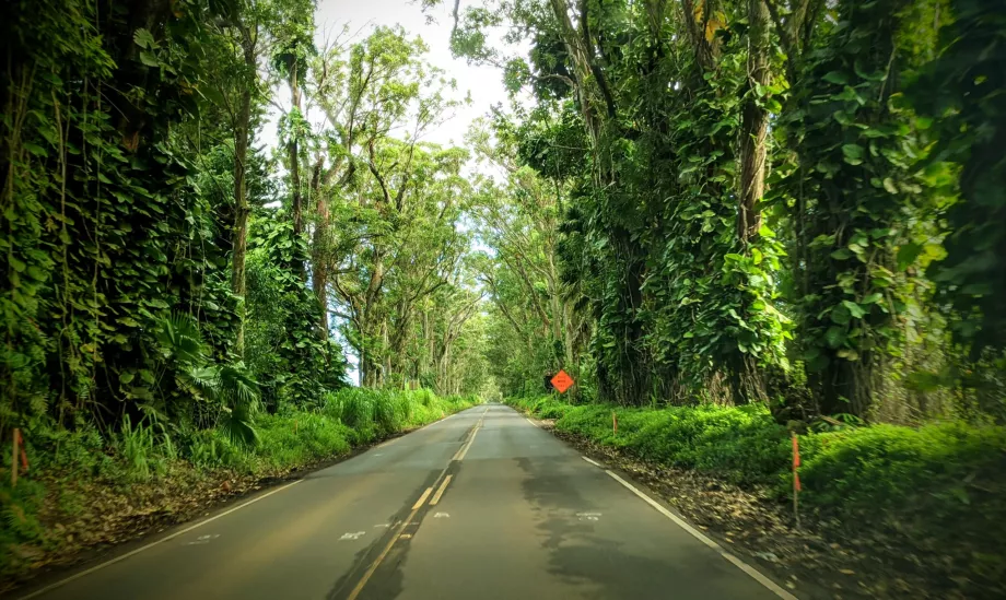 Route de Kauai