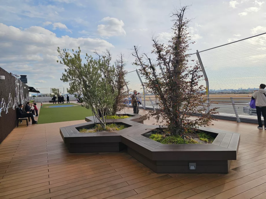 Terrasse panoramique sur la zone de l'aéroport