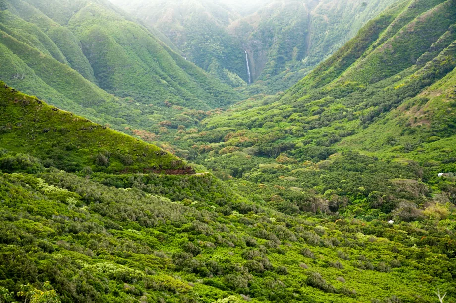 Vallée de Halawa