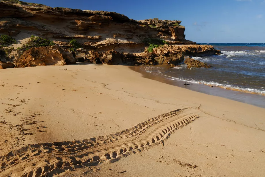 Plage de Moomomi