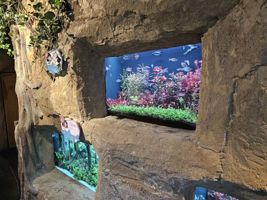 Aquarium