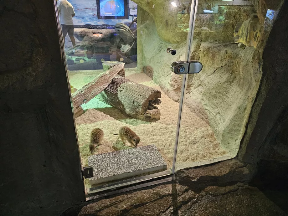 Aquarium