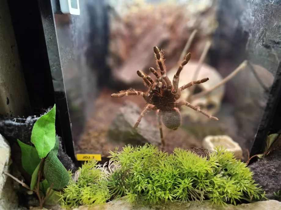 Aquarium