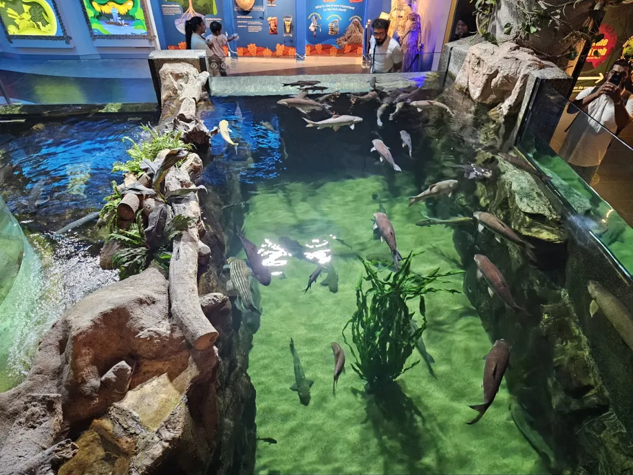 Aquarium