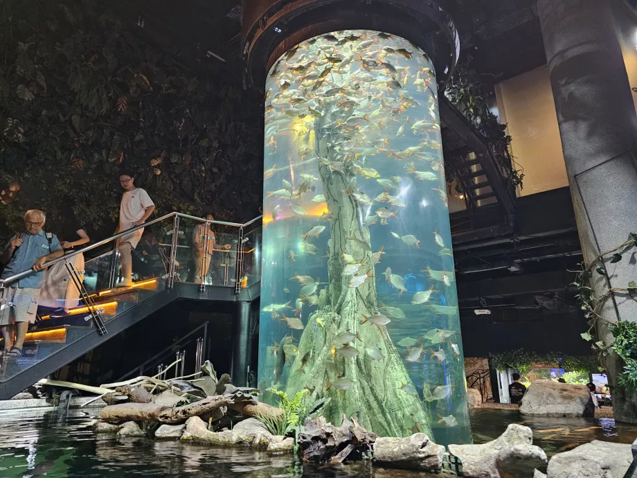 Aquarium