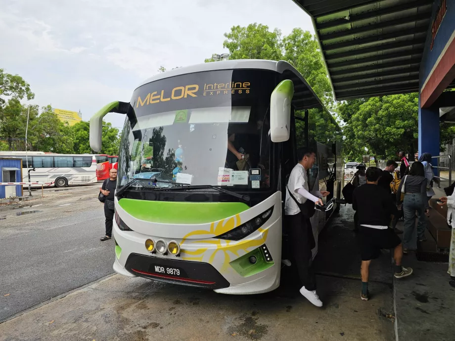 Melor Interline, entraîneur
