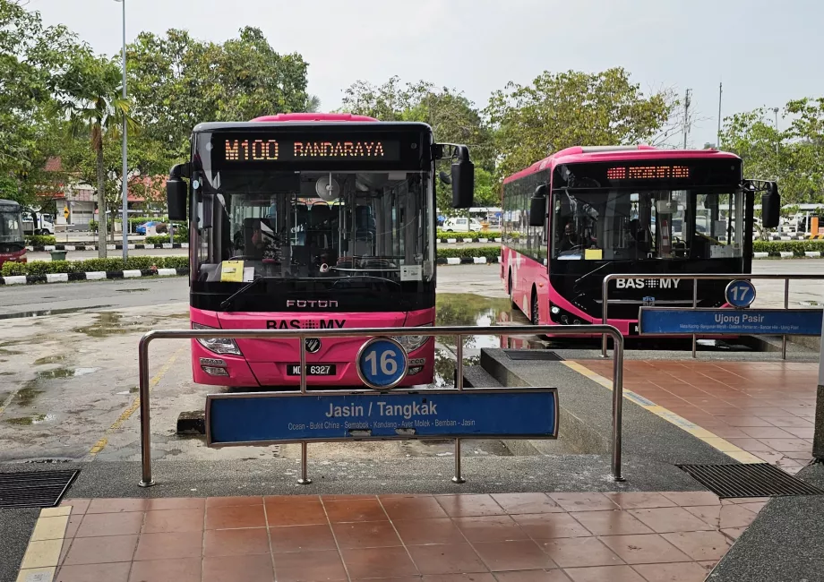 Bus 100 de la gare routière au centre