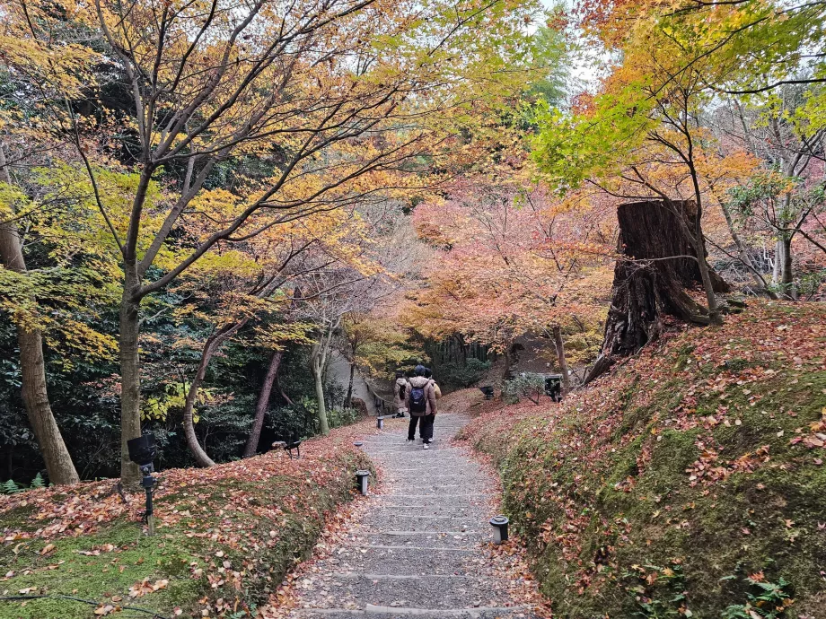Temple Kodai-ji, jardins