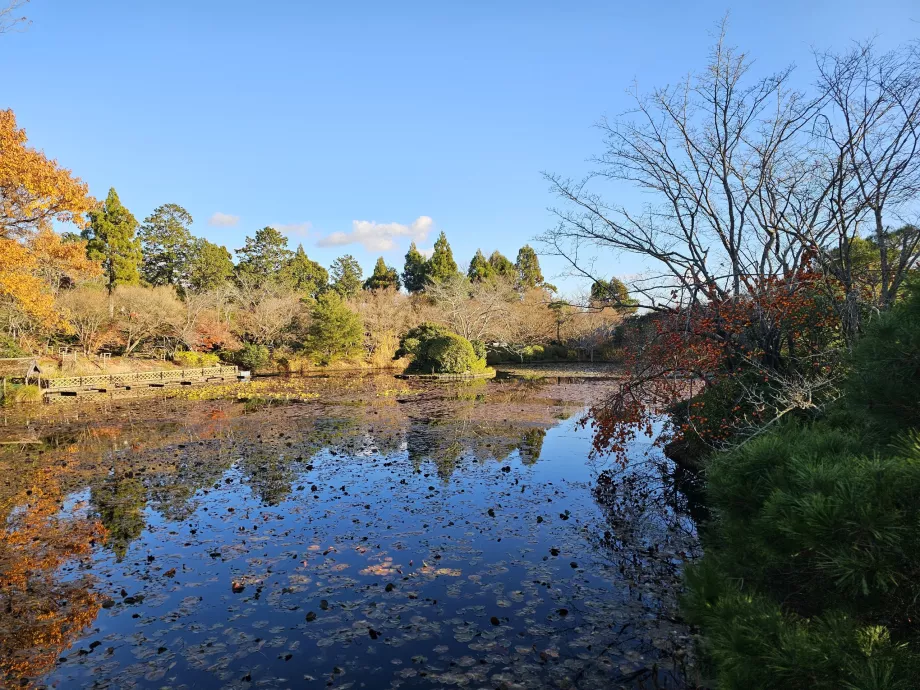 Temple Ryoan-ji