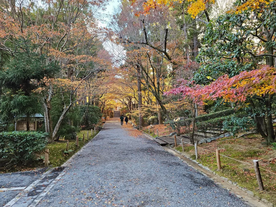 Temple Ryoan-ji