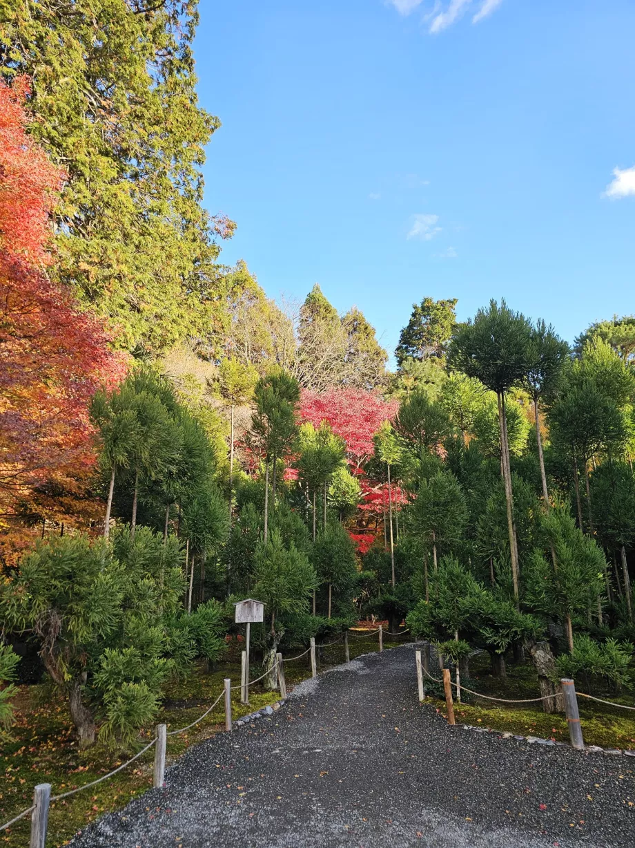 Temple Ryoan-ji