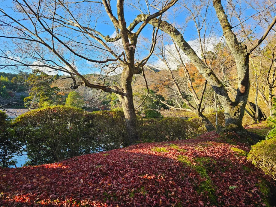 Temple Ryoan-ji