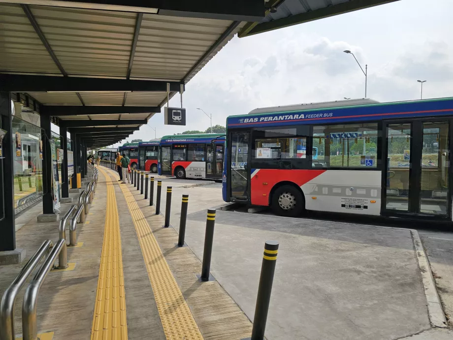 Bus urbains