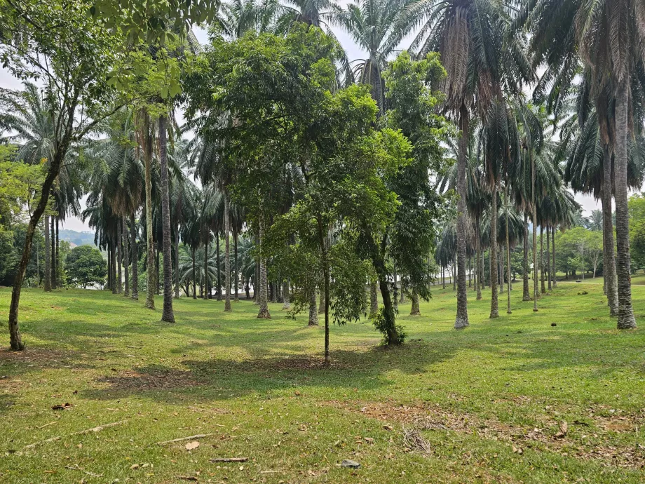 Jardin botanique