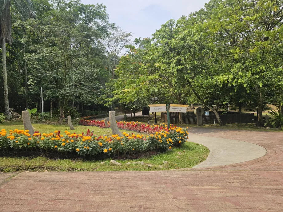 Jardin botanique