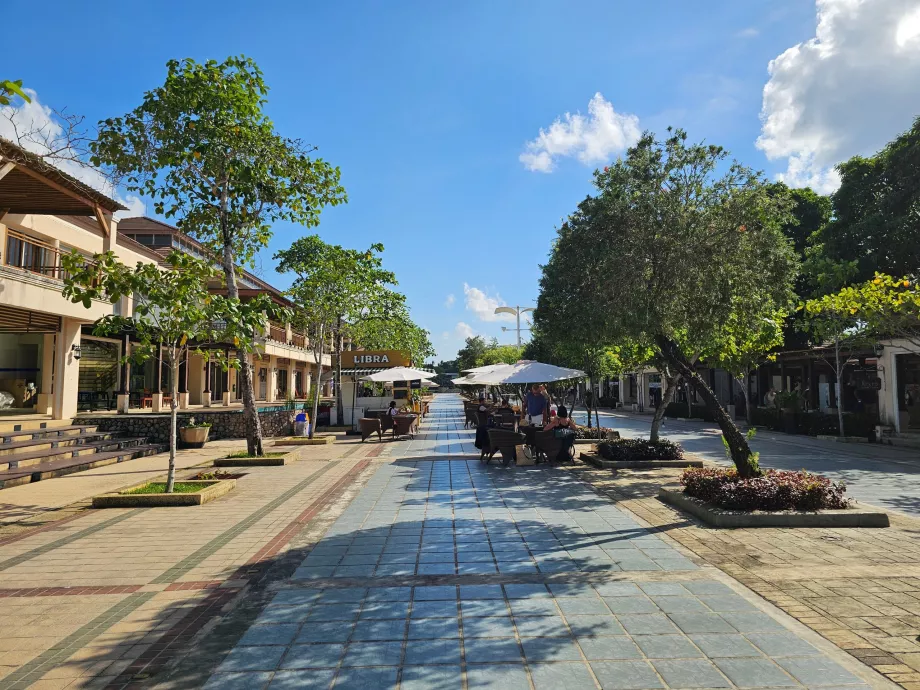 Rue commerçante entre les halls de départ et d'arrivée, partie publique