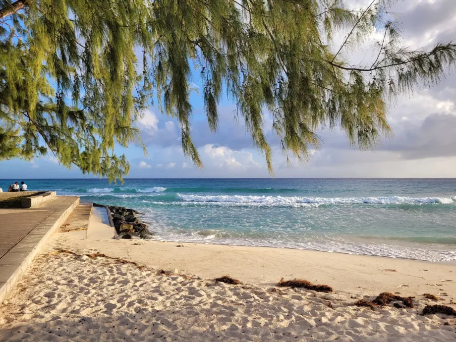 Plage de Rockley